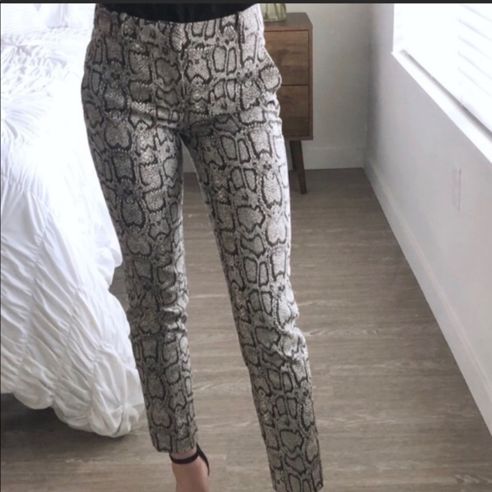 Zara Snake Pants